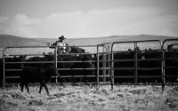 wy005