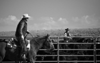 wy006