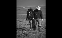 wy007