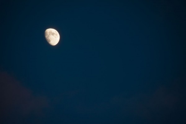A waxing moon in the November sky