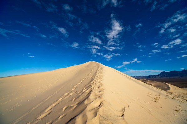 Tallest of Kelso Dunes