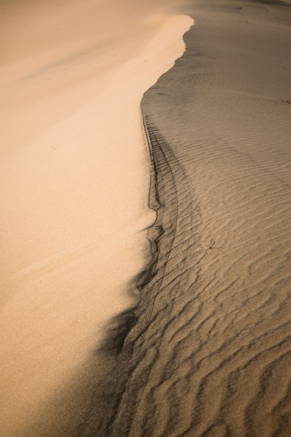 Dune Ridgeline